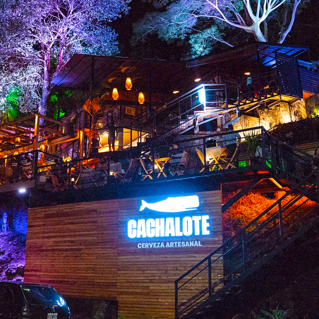 Cachalote. Gastronomía de calidad en Posadas e Iguazú. Convenio con descuento para afiliados de ADUNAM. Asociación de Docentes de la Universidad Nacional de Misiones cachalote-gastronomia-en-posadas-iguazu-para-afiliados-adunam-misiones